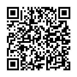 只需要将海盗之港的那些杂碎拖住一段时间就可以了……二维码生成