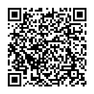 只需要把自己身体里蕴藏的精力之气给度进去帮他续接生命之根就成了二维码生成