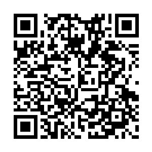 叮嘱古丽莎收拣起来也是准备回国以后交给老白二维码生成