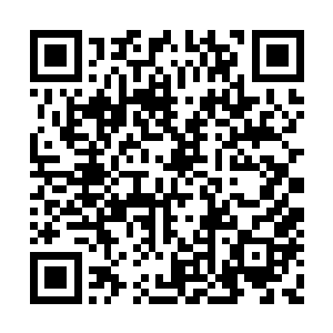 可万兽同气……想起兽林峰那些奇形怪状的弟子二维码生成