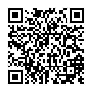 可不是想看你每天就这么无所事事的老在俗世玩闹二维码生成