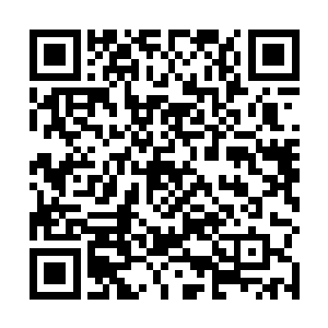 可为何三大势力潜入蒙城地区那么多高手为何不来救她二维码生成