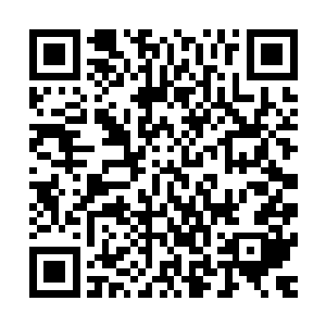 可乐对乌鸦的感情已经发生了很大的变化――不像是少女时期二维码生成