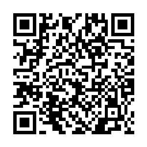 可也有些不忍心叫一个瘦瘦小小的孩子去滚这张钉板了二维码生成