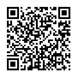 可人家石油大亨牵出一头猎豹就能秒杀所有的豪车二维码生成