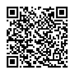 可什么东西能够让地下逐渐渗出这般浓郁的灵气呢二维码生成
