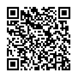 可今儿个却遭遇了在后世碰到都能成为一大新闻的情况二维码生成