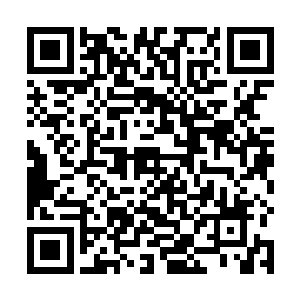 可他从来没有看到过骑士战气化形的攻击会如此的灵动二维码生成