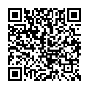 可他们离李金方还有艾琳的实力还是有点儿差距二维码生成