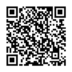 可他看楚帝的样子也不像是和东南域的某个势力有勾结二维码生成