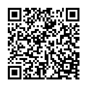 可以从天地异象和那药香气中判断出小师姐的进展二维码生成