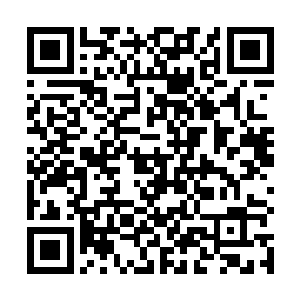 可以令一个普通之人拥有问鼎苍穹天宇顶尖强者的资格二维码生成