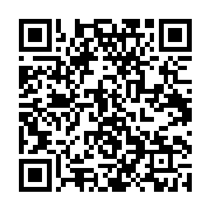 可以以天仙修为击败威严峰金仙真传弟子中的佼佼者二维码生成