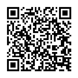 可以吞噬转化被你刺穿的生物的少部分气血能量回补于你二维码生成