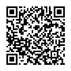 可以将修为不同心法迥异的修士力量融合在一起二维码生成