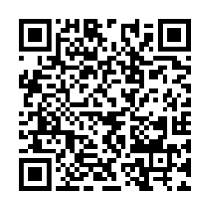 可以帮助他们直接了解到所有他们想要了解的信息二维码生成