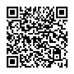 可以想象他刚才从自己的界中逃脱还是损耗了不少实力二维码生成
