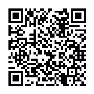 可以感觉到自己的圣躯在炼化第一滴狂暴圣血之后二维码生成