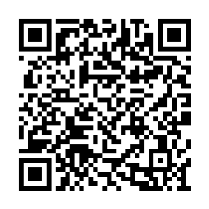 可以把过去五年内中国市场的增长报告发给我吗二维码生成