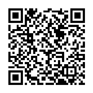 可以明确的告诉你的是……我的确拥有很长的寿命二维码生成