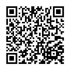 可以有基于别的化学基础而发展起来的其他生命吗二维码生成