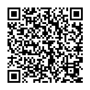可以清晰地看到天空中一支吸血鬼军团正扇动着翅膀在空中疾速飞行二维码生成