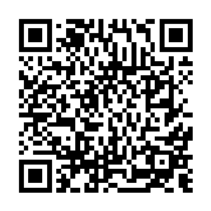 可以看到十二大斗法场内部的一百二十个小法场的情况二维码生成