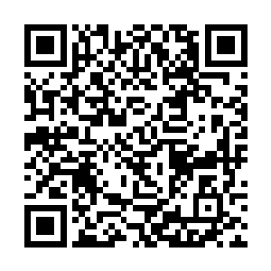 可以看到这十二玉镜中显现的不过是一些简单的画面二维码生成