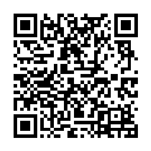 可以确定的梁国威和詹彩芝都属于其中被调整对象二维码生成