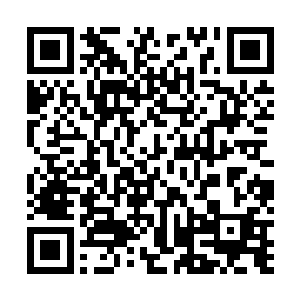 可以称之为它们的天敌的功法却是许紫烟体内的生命之气二维码生成