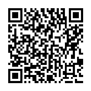 可以让小胖很轻松的沿着这些痕迹一路向着最终的目的地游去二维码生成