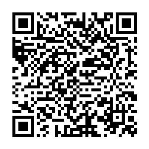 可以让薛紫夜脸侧的枯骨被正脸处蔓延过去的肌肤血管神经包裹住二维码生成