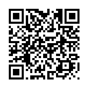 可以说几乎把所有的树木全都推到二维码生成