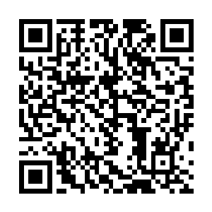 可以说把华兴珠宝大厦内部最名贵的项链戒指都拿了出来二维码生成