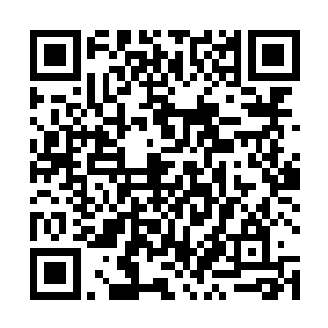 可以说日族那个超品炼丹师炼丹的成功率一定不如丹一二维码生成