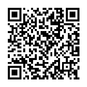 可以说每一只大白鲨的存在都是生命进化的奇迹二维码生成