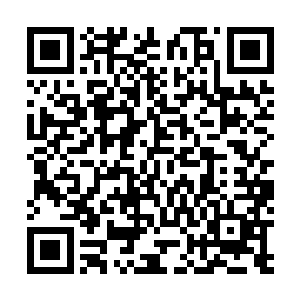 可以说胡雷老爷子是看着我们蜜怡一步一步成长到今天的二维码生成
