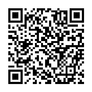 可以说自己身上该看的不该看的估计都被丁长生看光了二维码生成