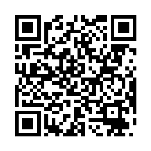 可以说这个snake战队就是一年前的lcd二维码生成