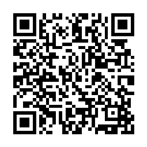 可以说这镇南关几乎就是南域的最后一条防线了二维码生成