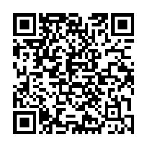 可以说那位张副市长是被丁羽丁医生从鬼门关给拉了回来二维码生成