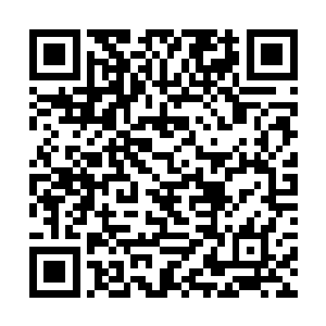 可以辨认出……应该就是自己找到的这个干尸的主人二维码生成