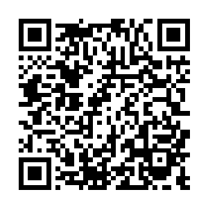 可以迅速让整个碧落关的将士都在各处大阵中留下烙印二维码生成