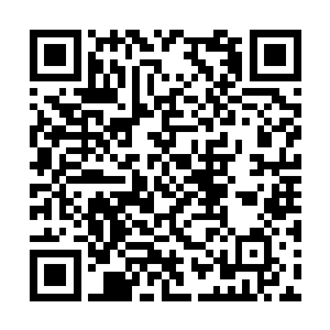 可以这种情况下如果左云鹏还要不识时务叽叽歪歪二维码生成