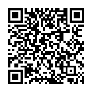 可以通过神识清晰的看见青山和禾田长老之间的战斗二维码生成