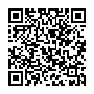 可以防止那些喜欢啃食枫族幼苗根茎的鼠类和害虫二维码生成