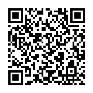 可以隐约看到欧阳剑北那一张愤怒的快要畸形的表情二维码生成