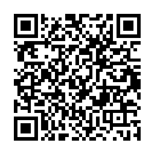 可以隐隐约约地看到此时正盘膝坐在树洞中的那个修士二维码生成