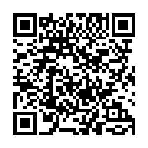 可你们吧把百变星君这个心头大患留下来究竟有何目的二维码生成