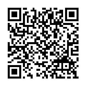 可你对于木系力量的掌控又怎么可能比得过青龙二维码生成